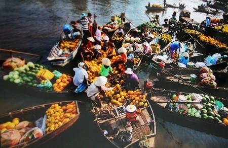 សប្ដាហ៍ទេសចរណ៍បៃតងនៅវាលទំនាបទន្លេ Cuu Long ឆ្នាំ២០១៥